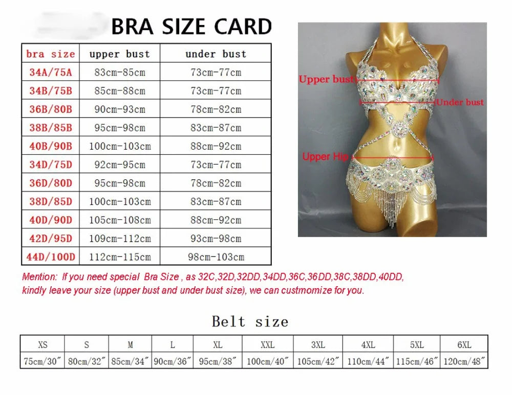 Crystal Belly Dance Costume Samba show bikini Wear Bar+Belt 2pc Set Ladies Bellydancing Costumes Carnival women gogo costumes